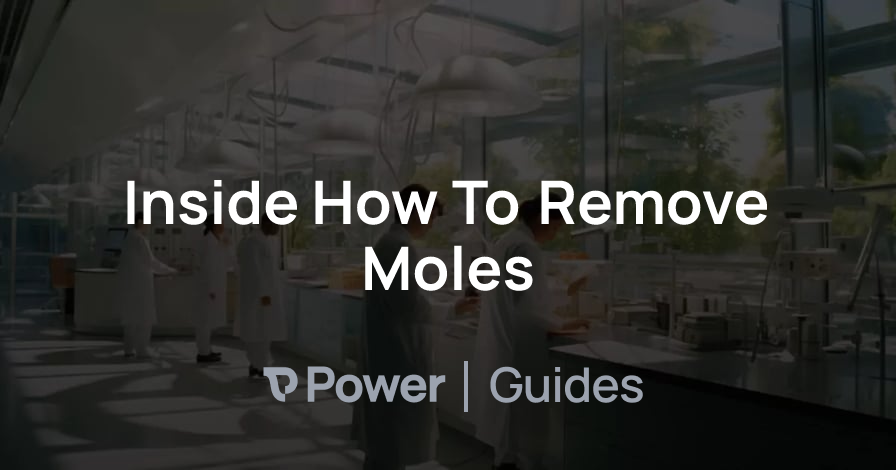 Header Image for Inside How To Remove Moles