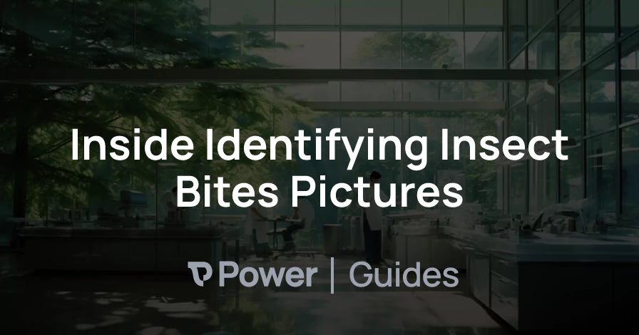 Header Image for Inside Identifying Insect Bites Pictures