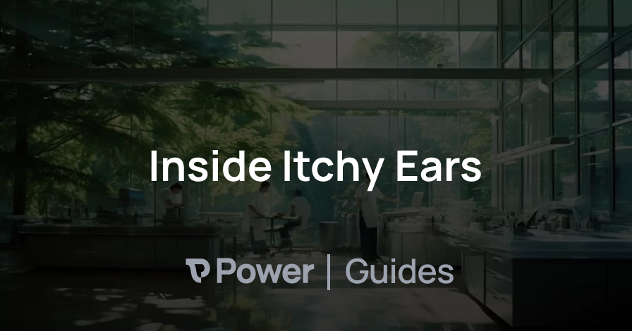 Header Image for Inside Itchy Ears