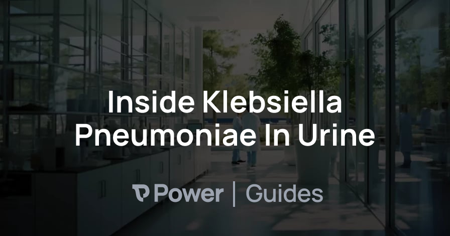 Header Image for Inside Klebsiella Pneumoniae In Urine