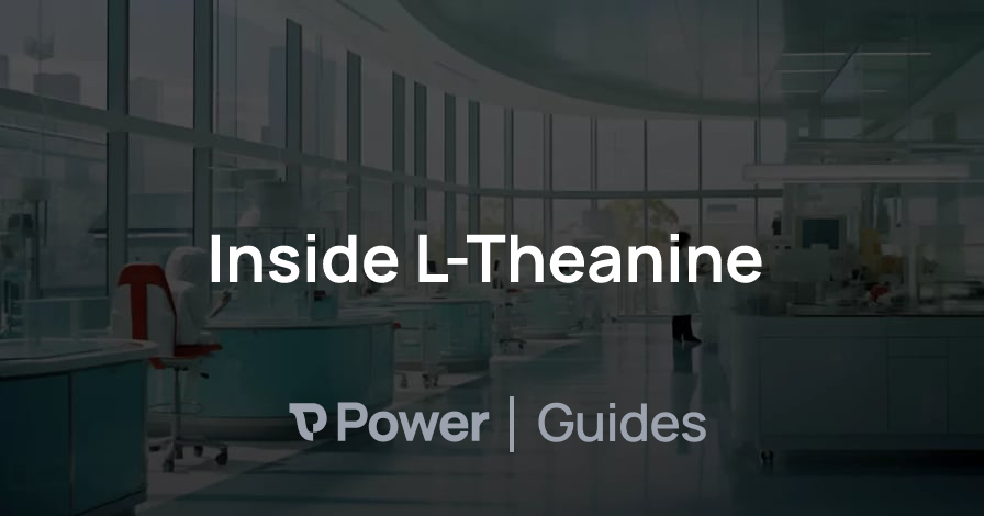 Header Image for Inside L-Theanine