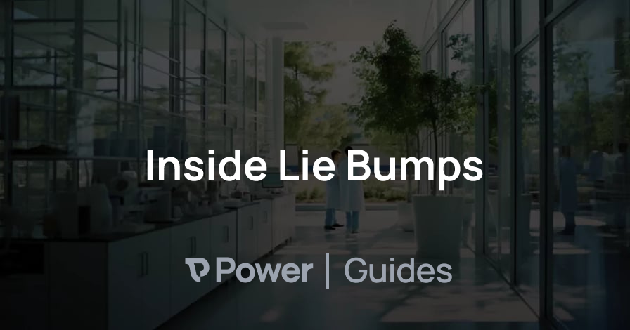 Header Image for Inside Lie Bumps