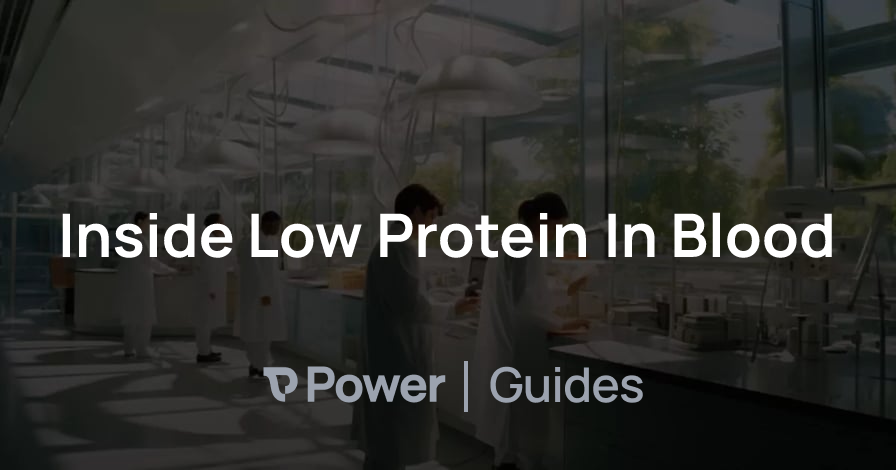 Header Image for Inside Low Protein In Blood