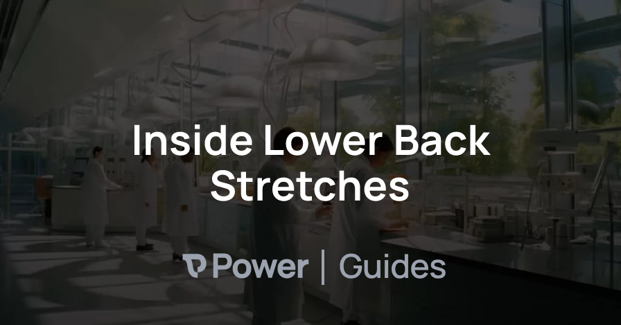 Header Image for Inside Lower Back Stretches