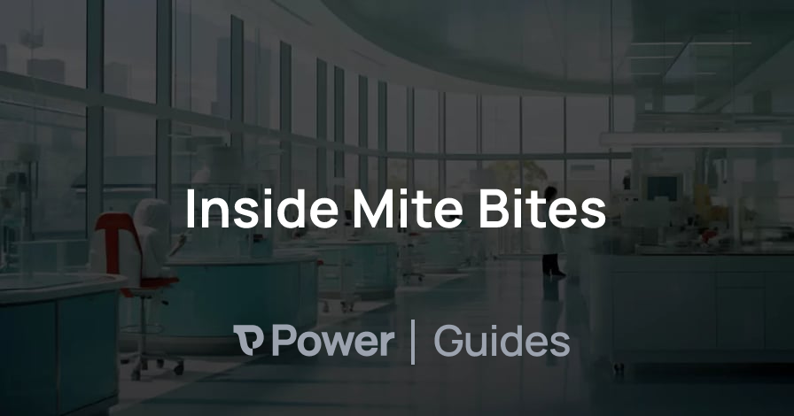 Header Image for Inside Mite Bites