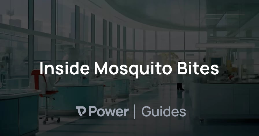 Header Image for Inside Mosquito Bites