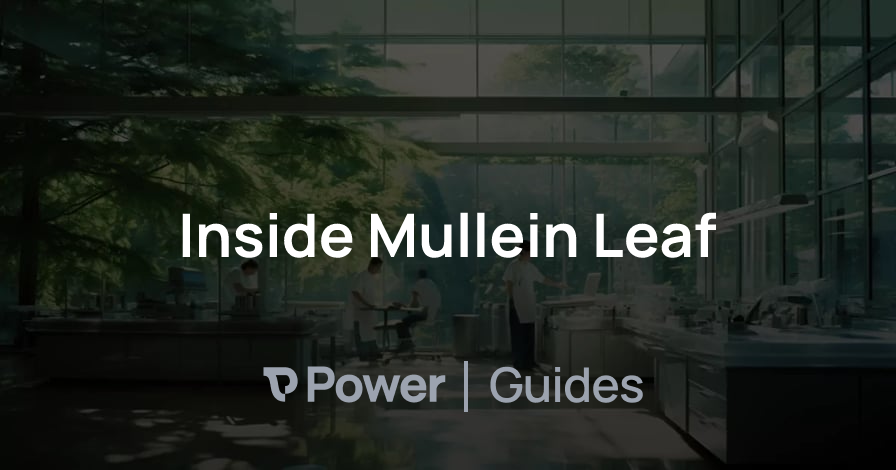 Header Image for Inside Mullein Leaf