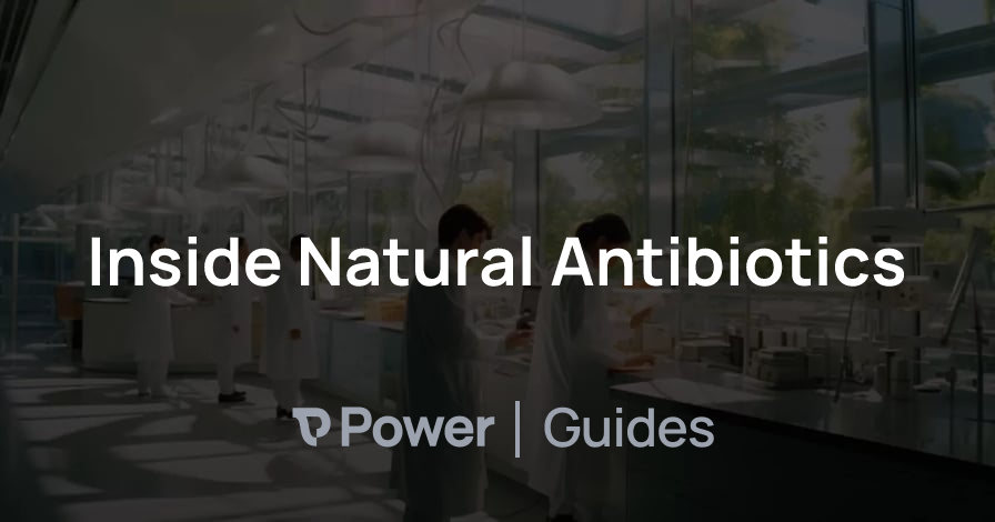 Header Image for Inside Natural Antibiotics