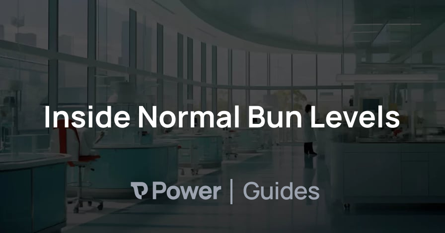Header Image for Inside Normal Bun Levels