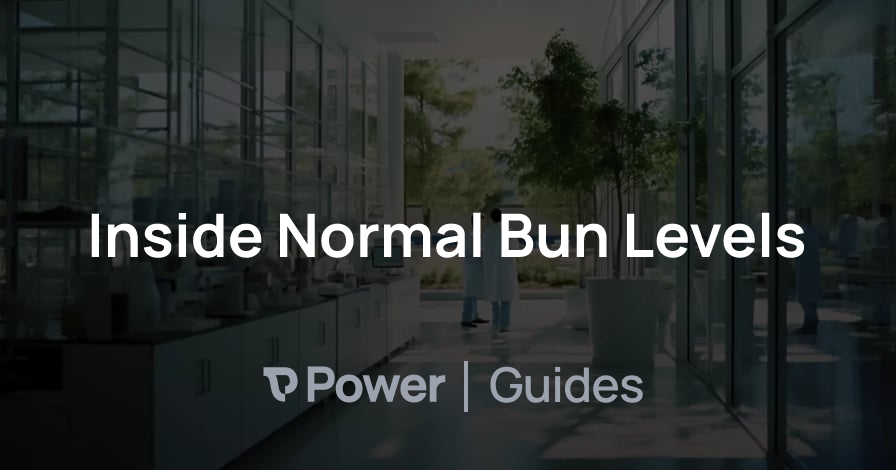 Inside Normal Bun Levels | Power