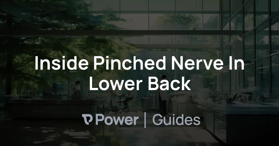 Header Image for Inside Pinched Nerve In Lower Back