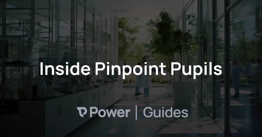 Header Image for Inside Pinpoint Pupils