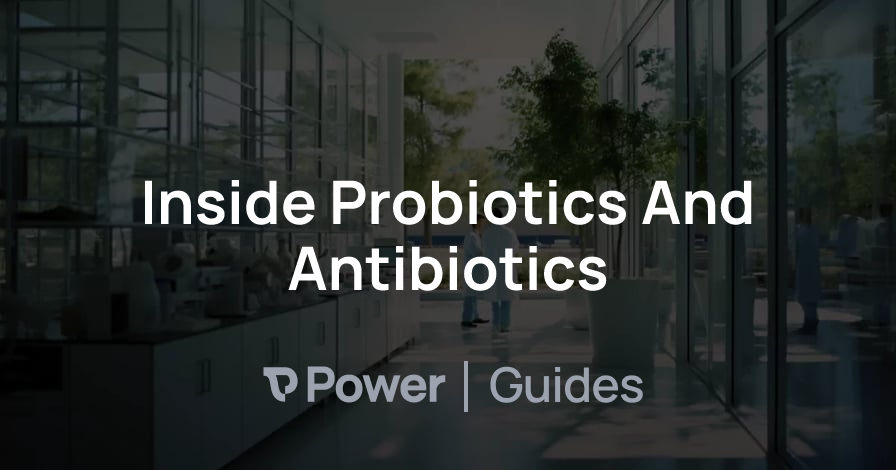 Header Image for Inside Probiotics And Antibiotics