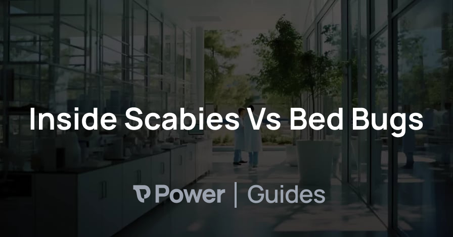 Header Image for Inside Scabies Vs Bed Bugs