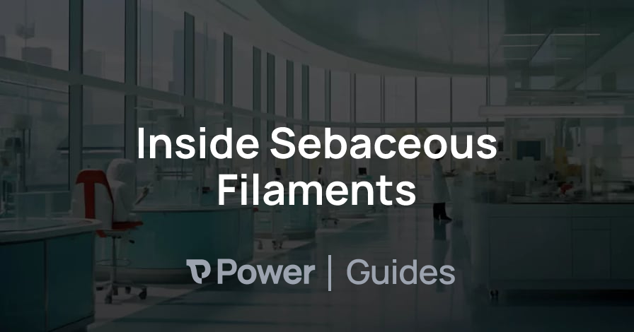 Header Image for Inside Sebaceous Filaments