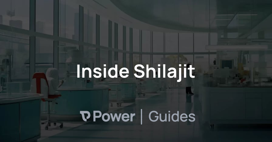 Header Image for Inside Shilajit