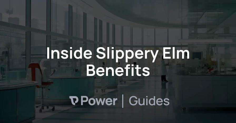 Header Image for Inside Slippery Elm Benefits