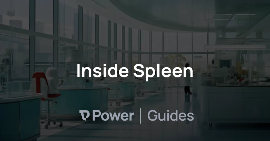 Header Image for Inside Spleen