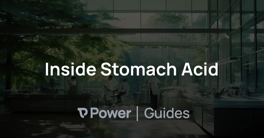 Header Image for Inside Stomach Acid