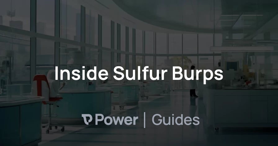 Header Image for Inside Sulfur Burps