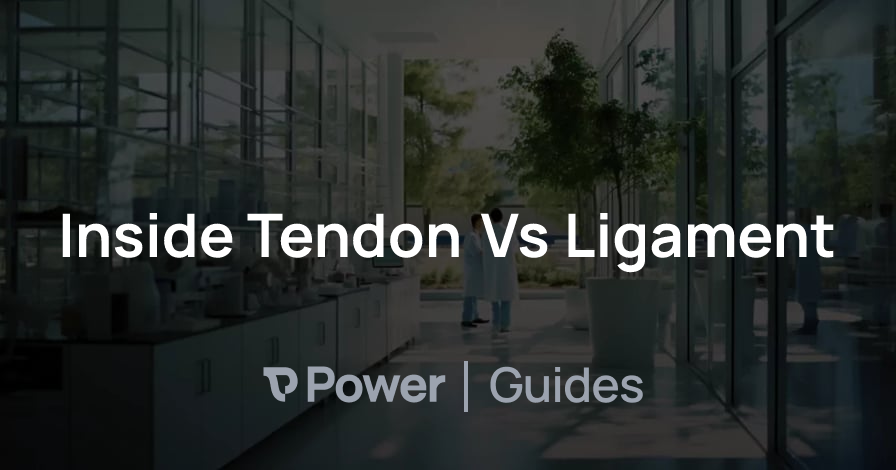 Header Image for Inside Tendon Vs Ligament