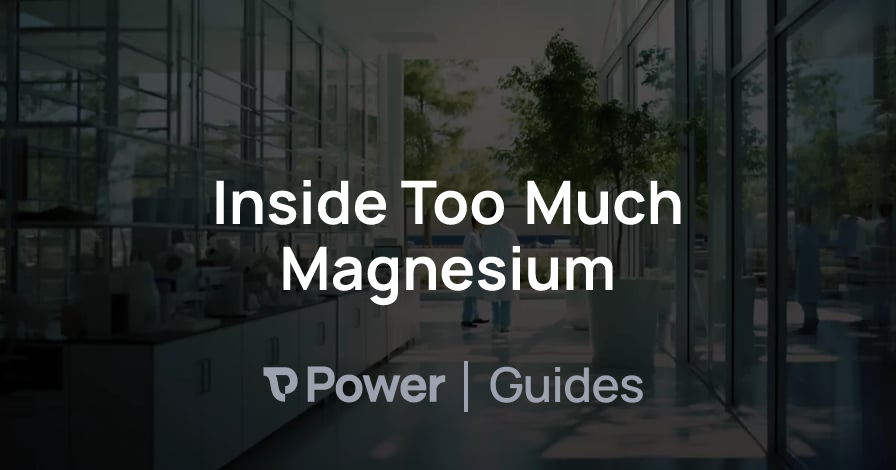 Header Image for Inside Too Much Magnesium