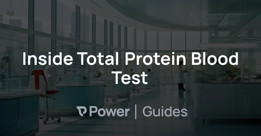 Header Image for Inside Total Protein Blood Test