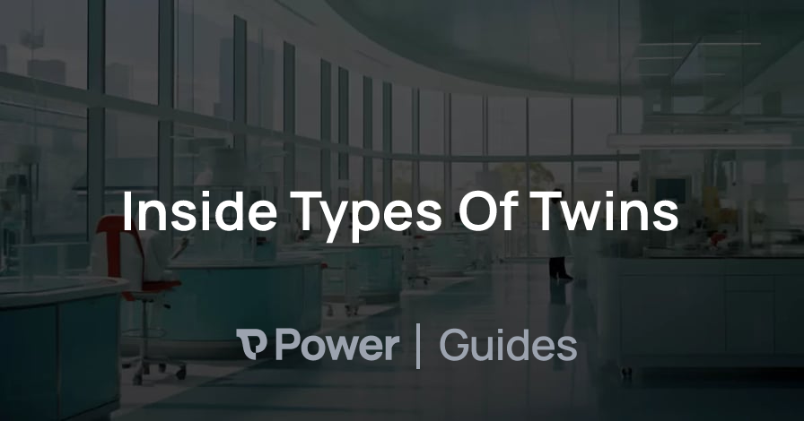 Header Image for Inside Types Of Twins