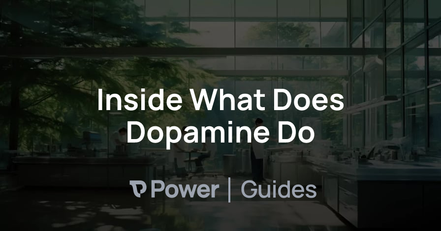 Header Image for Inside What Does Dopamine Do