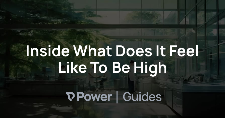 Header Image for Inside What Does It Feel Like To Be High