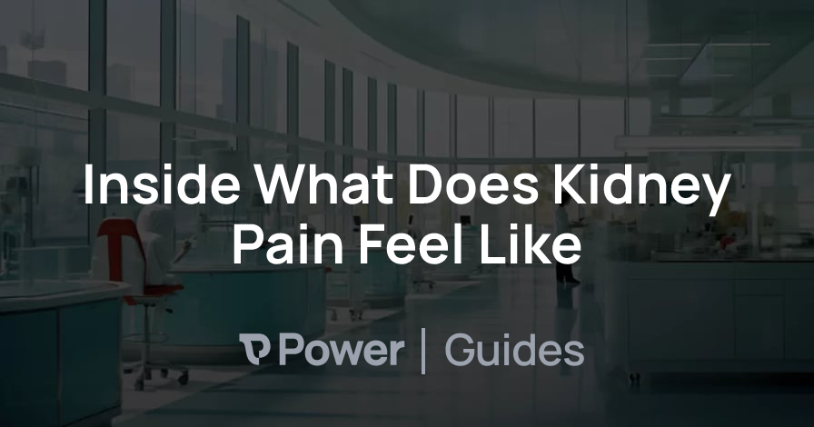 Header Image for Inside What Does Kidney Pain Feel Like