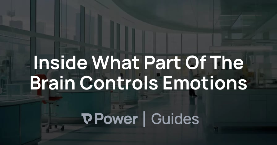 Header Image for Inside What Part Of The Brain Controls Emotions