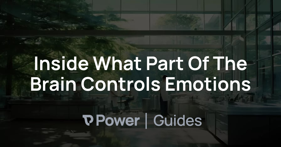 Header Image for Inside What Part Of The Brain Controls Emotions