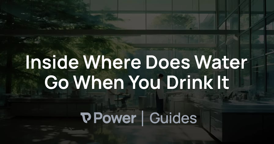 Header Image for Inside Where Does Water Go When You Drink It