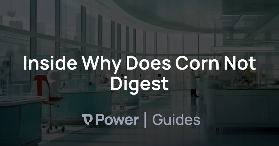 Header Image for Inside Why Does Corn Not Digest