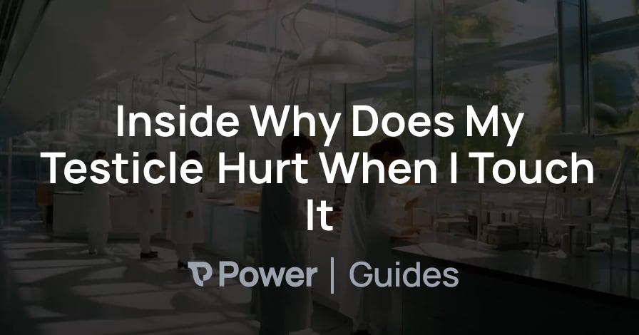 Header Image for Inside Why Does My Testicle Hurt When I Touch It