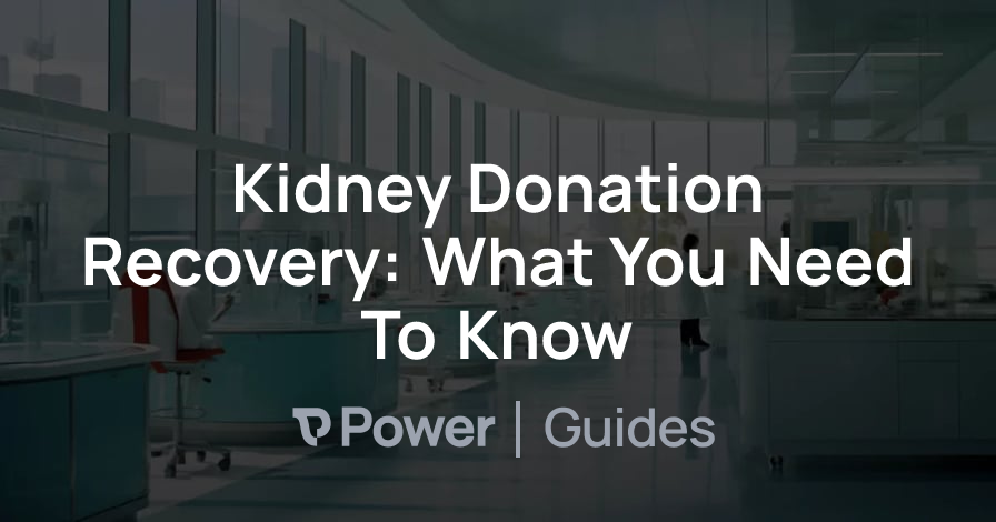 Header Image for Kidney Donation Recovery: What You Need To Know