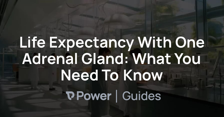 Header Image for Life Expectancy With One Adrenal Gland: What You Need To Know