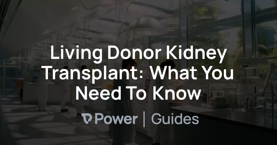 Header Image for Living Donor Kidney Transplant: What You Need To Know