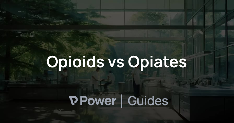 Header Image for Opioids vs Opiates