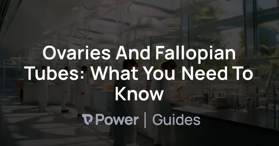 Header Image for Ovaries And Fallopian Tubes: What You Need To Know