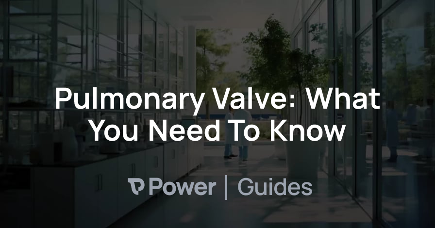 Header Image for Pulmonary Valve: What You Need To Know