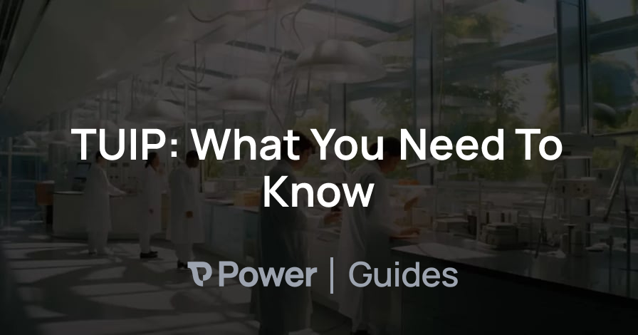 Header Image for TUIP: What You Need To Know