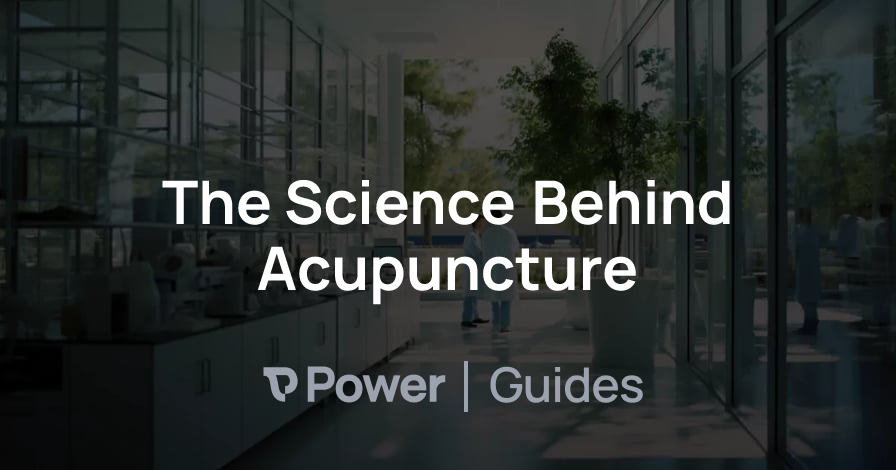 Header Image for The Science Behind Acupuncture