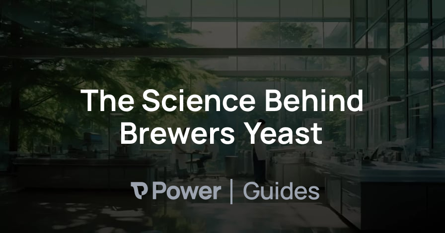 Header Image for The Science Behind Brewers Yeast