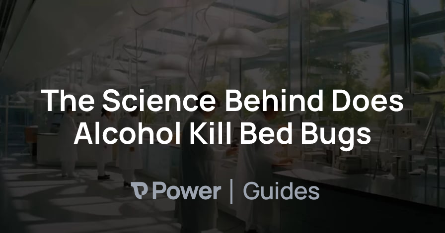 Header Image for The Science Behind Does Alcohol Kill Bed Bugs