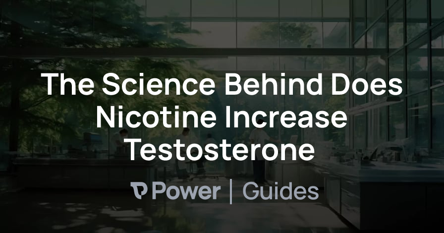Header Image for The Science Behind Does Nicotine Increase Testosterone