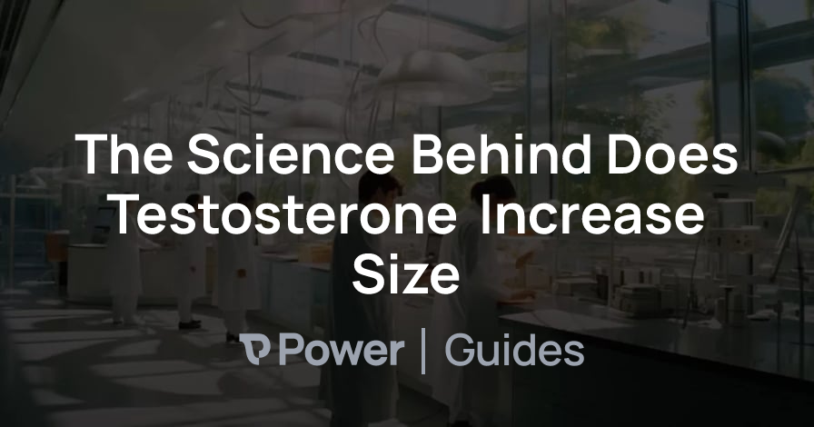 Header Image for The Science Behind Does Testosterone Increase Size