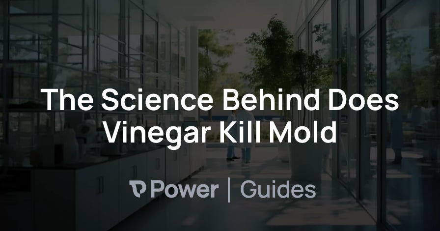 Header Image for The Science Behind Does Vinegar Kill Mold