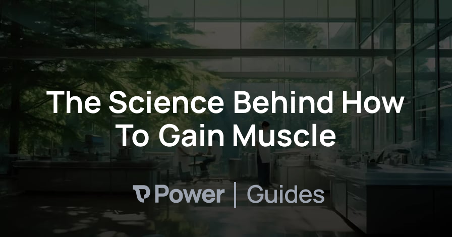 Header Image for The Science Behind How To Gain Muscle